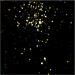 Image for 26-JUN-2011 (M11 Wild Duck globular cluster.png)